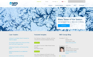 NPD_Online_Research